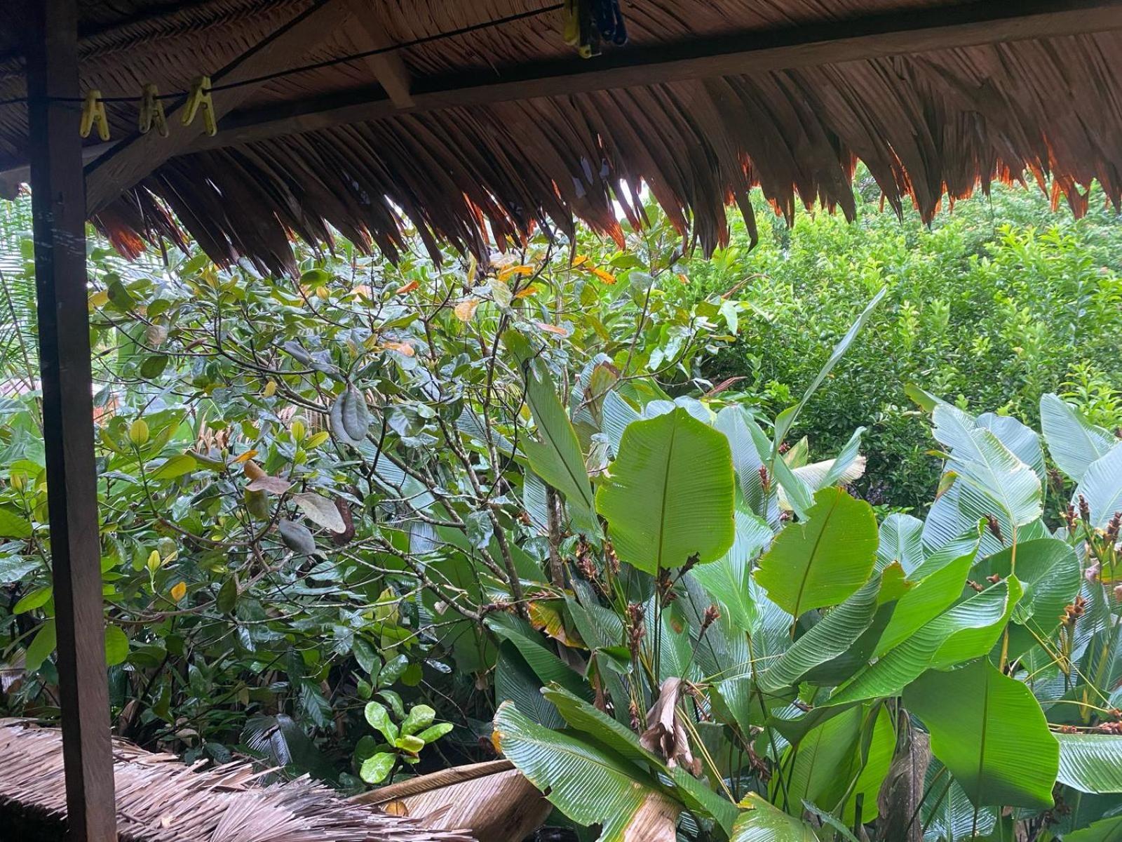 Xingu Camping Site Летісія Екстер'єр фото