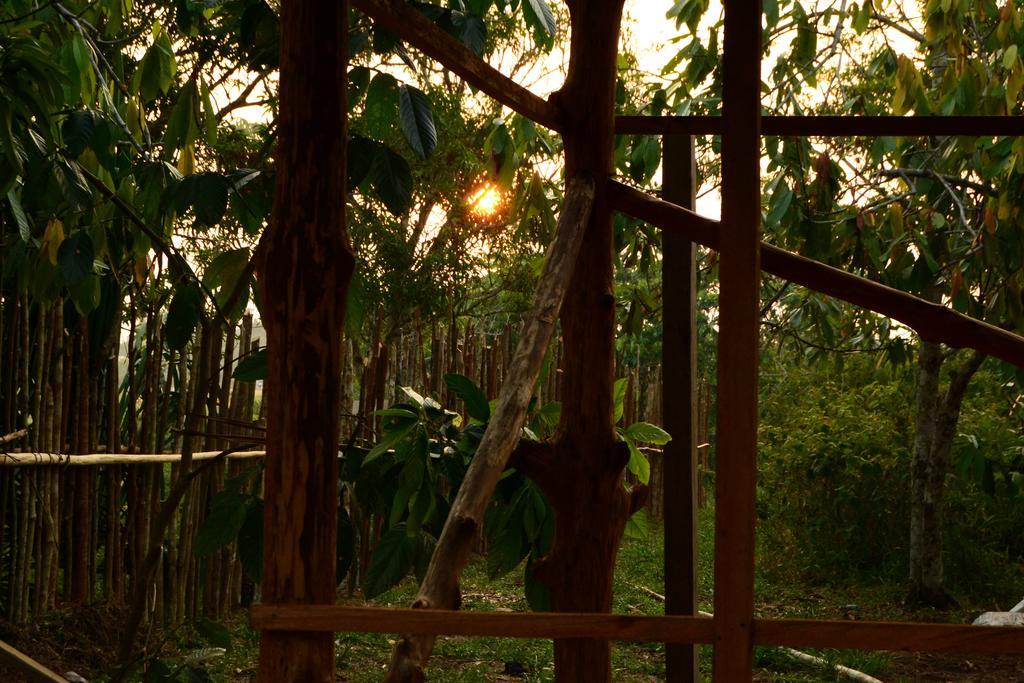 Xingu Camping Site Летісія Екстер'єр фото