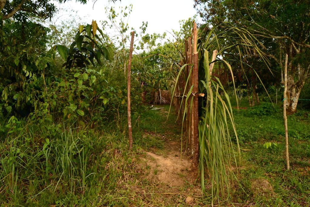 Xingu Camping Site Летісія Екстер'єр фото