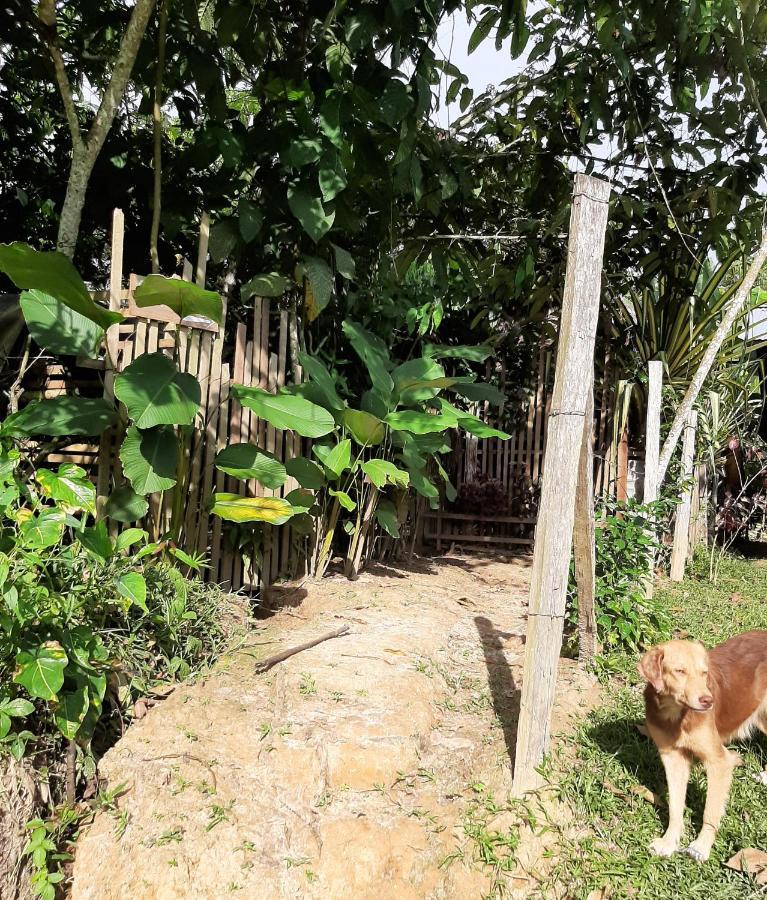 Xingu Camping Site Летісія Екстер'єр фото